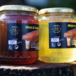 barattoli di miele castagno e miele acacia