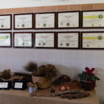 premi dell'azienda zootecnica "gennargentu" ad anguillara