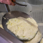 ricotta