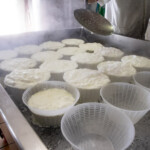Ricotte fresche del Caseificio Adriani