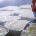Ricotta fresca del Caseificio Adriani a Bracciano