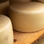 Forme di formaggio del Caseificio Adriani A Bracciano