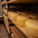 Forme di Formaggio del Caseificio Adriani